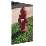 Fire hydrant canvas print