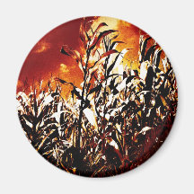 Fire in the corn field magnet