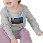 Fire scorched forest in Banff National Park, Alber Shirt