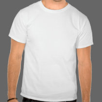 Fire Shirt t-shirts