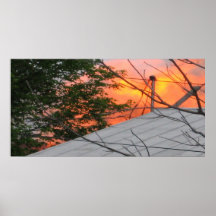 Fire Storm Posters