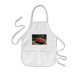 Fireman - The Procession Aprons