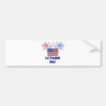 fireworks and freedom copy bumper sticker