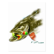 Fish Heads by FishTs.com Postcards