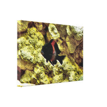 Fish in Aquarium Canvas Art Print Stretched Canvas Print