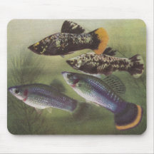 Fish - Mollies - Poecilia sphenops Mouse Pad