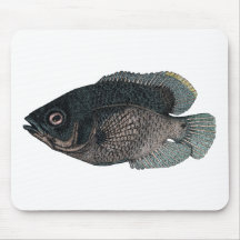 Fish Mousepad
