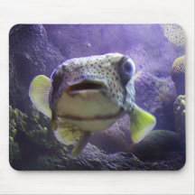 fish mousepad