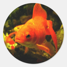 FISH ROUND STICKER