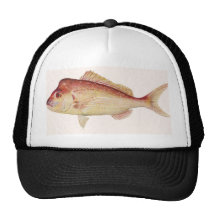 Fish - Snapper - Chrysophrys guttulatus Trucker Hat