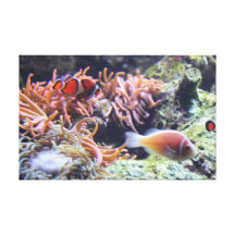 FIshing for compliments Canvas Print