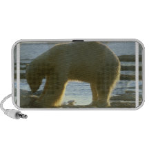 Fishing Polar Bear Portable Speakers