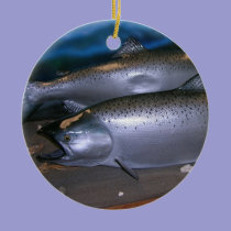 Fishy ornaments