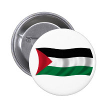 Flag of Palestine Pins