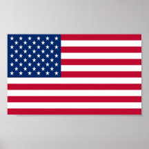 Flag of United States of America Print