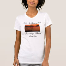 Flamingo Romance T Shirt