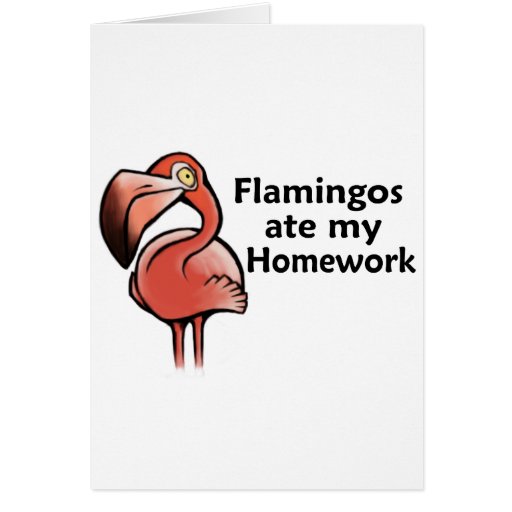 Flamingos ate my Homework Greeting Cards