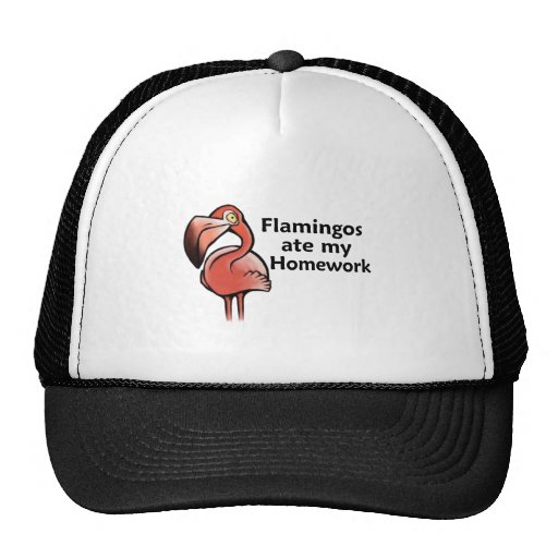 Flamingos ate my Homework Hat