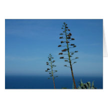 Flax and Ocean Folding Card