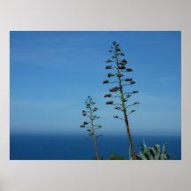 Flax and Ocean Poster/Print
