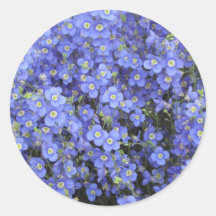 Flax Flowers at Longwood Gardens, Pennsylvania Sticker