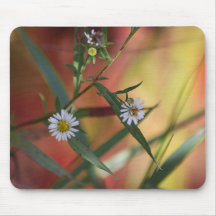 Fleabane Mouse Pad