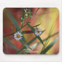 Fleabane Mouse Pads