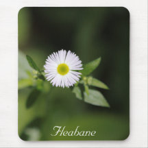 Fleabane Mousepad