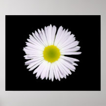 Fleabane Poster