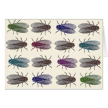 Flies / Fruit Flies from Diderot's Encyclopaedia Cards