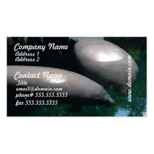 Floating Manatees Business Cards