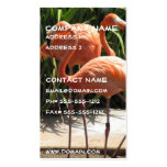 Flock of Flamingos Business Card