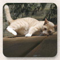 Flopping Cat Coaster cork coasters