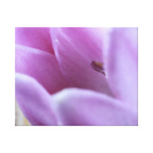 Flora Canvas Print