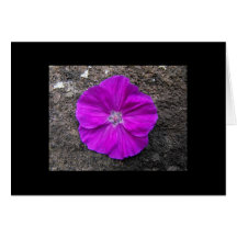 Flora in stone card