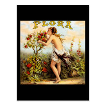 Flora Tobacco Post Cards