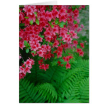 Floral Card - 2