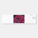 Floral dahlia in deep reds accented in black bumper stickers