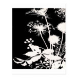 Floral Design Postcard