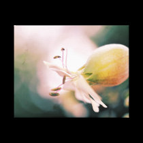 Floral et texture canvas prints