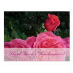 Floral Greetings-Card (Pink Roses) Postkarte