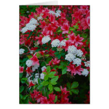 Floral Mix Card - 1