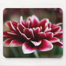 Floral (Mum) Mousepad