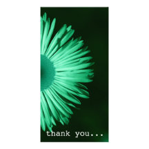 floral photo greeting card