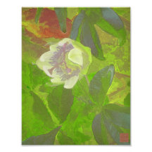 Floral Rhapsody in Green Photograph