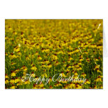 Floral Yellow Wildflowers Field Birthday Card cards