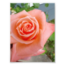 floraly devine photo