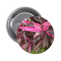 Floras Bolivianas Pinback Buttons