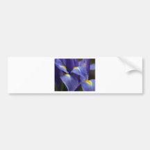 Floras, Flowers Bumper Stickers