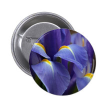 Floras, Flowers Buttons